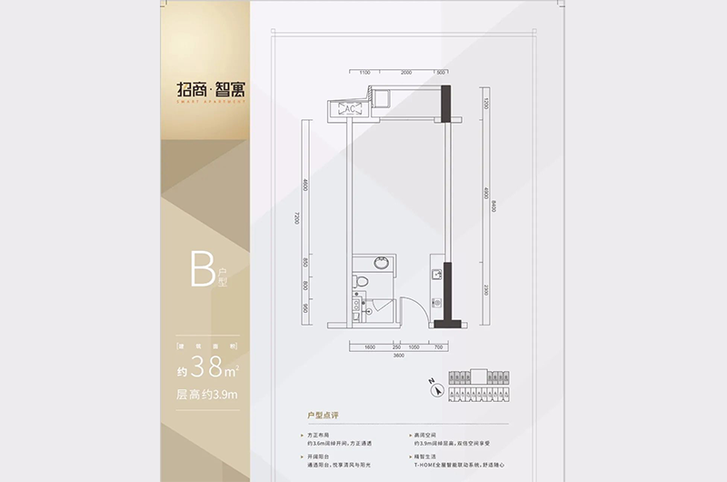 38㎡1房1廳1衛