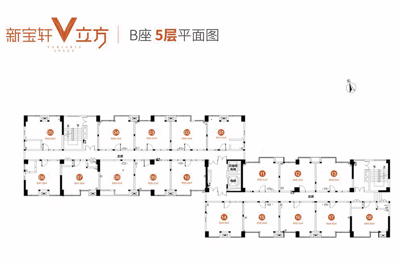 B座5層47-55㎡平面戶型圖