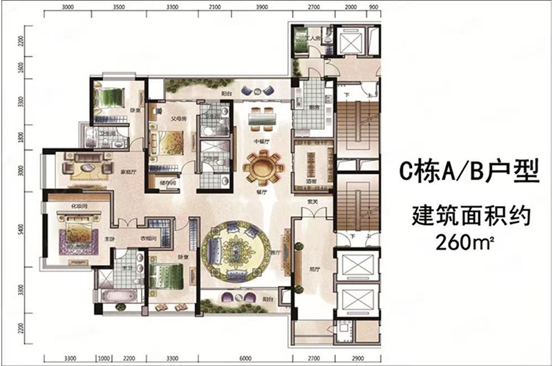 公(gōng)寓C棟A/B戶型6室3廳4衛